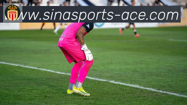 新浪体育服务体系