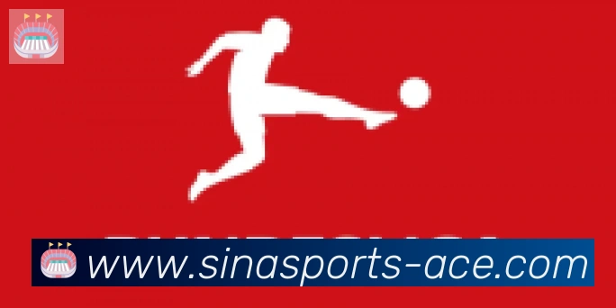 新浪体育合作伙伴