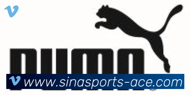 新浪体育合作伙伴