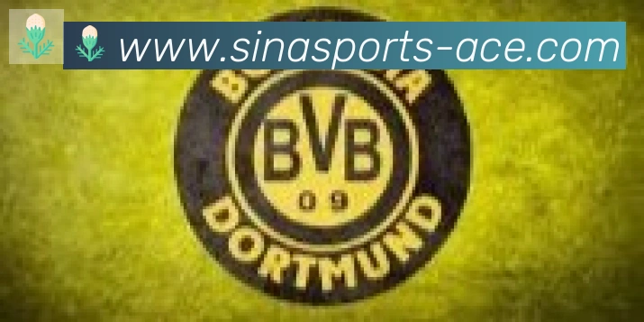 新浪体育合作伙伴